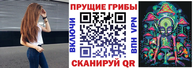 мориарти какой сайт  что такое наркотик  Бокситогорск  Галлюциногенные грибы GOLDEN TEACHER 